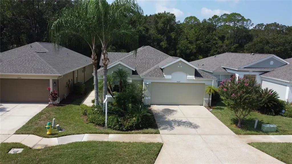 5227 Gato Del Sol Circle Wesley Chapel FL 33544