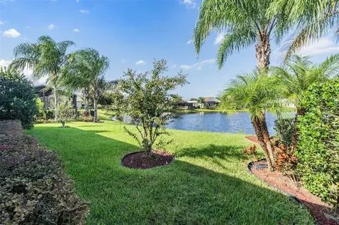 19147 Sunset Bay Drive Land O Lakes FL 34638