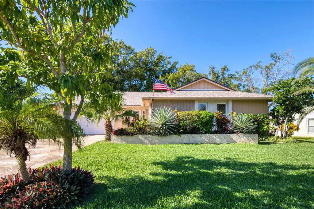 3374 E Dorchester Drive Palm Harbor FL 34684
