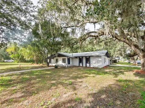 1785 King George Drive Kissimmee FL 34744