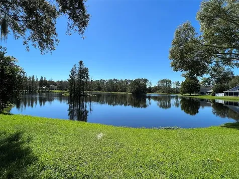 17751 Esprit Drive Tampa FL 33647
