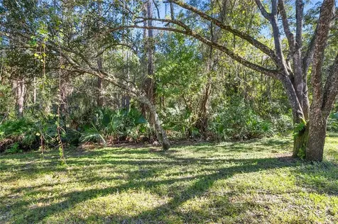 6229 Ashbury Palms Drive Tampa FL 33647