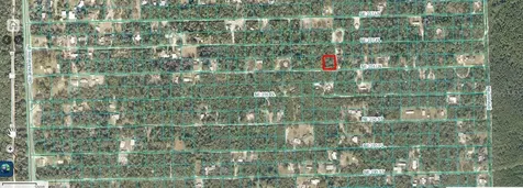 00 SE 236 Lane Fort Mc Coy FL 32134