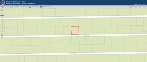 00 SE 236 Lane Fort Mc Coy FL 32134
