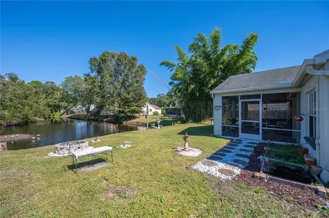 26925 Haverhill Drive Lutz FL 33559