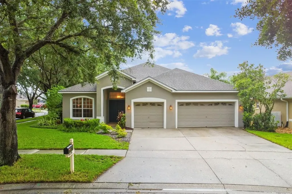 19803 Morden Blush Drive Lutz FL 33558