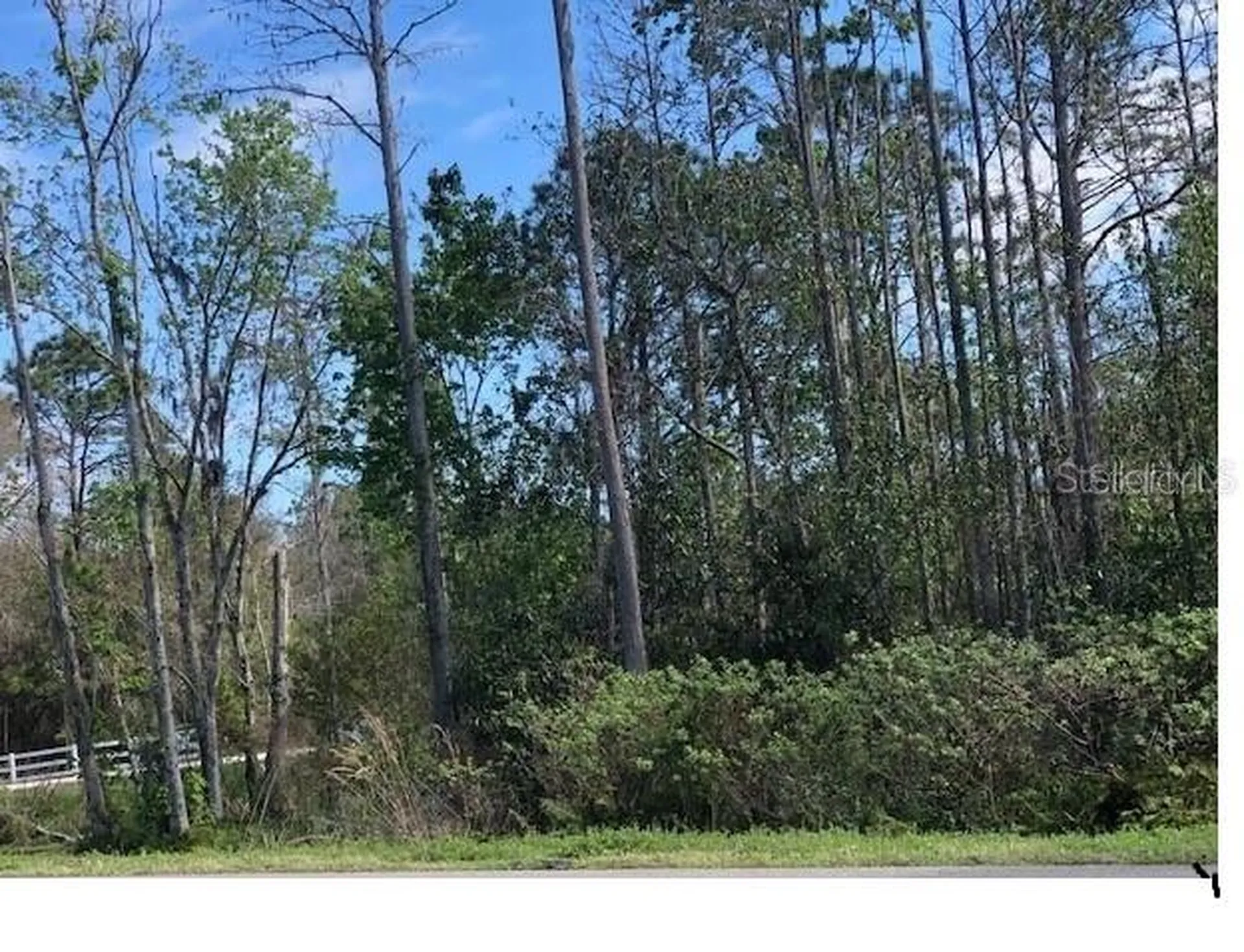 Mt Tabor Road Lakeland FL 33810