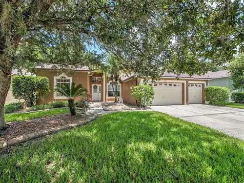 3719 Grand Forks Drive Land O Lakes FL 34639
