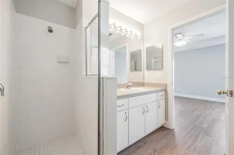 21022 Green Wing Court Land O Lakes FL 34637