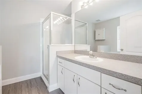 21022 Green Wing Court Land O Lakes FL 34637