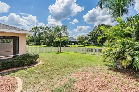 21022 Green Wing Court Land O Lakes FL 34637