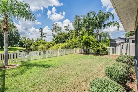 21022 Green Wing Court Land O Lakes FL 34637