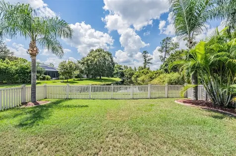 21022 Green Wing Court Land O Lakes FL 34637