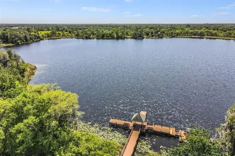 21022 Green Wing Court Land O Lakes FL 34637
