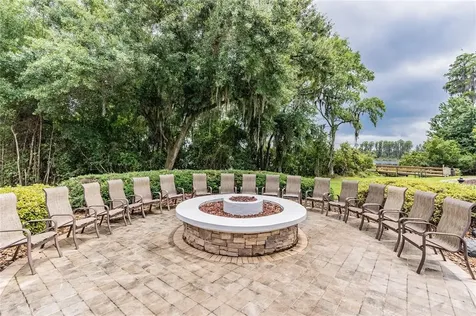 21022 Green Wing Court Land O Lakes FL 34637