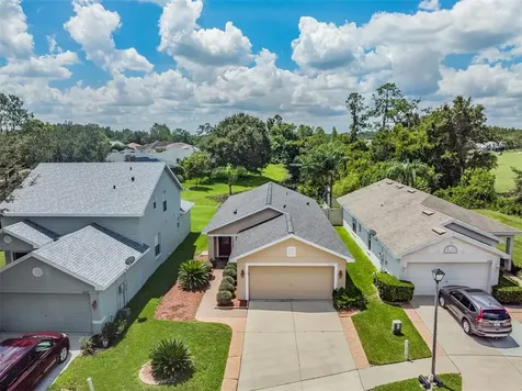 21022 Green Wing Court Land O Lakes FL 34637