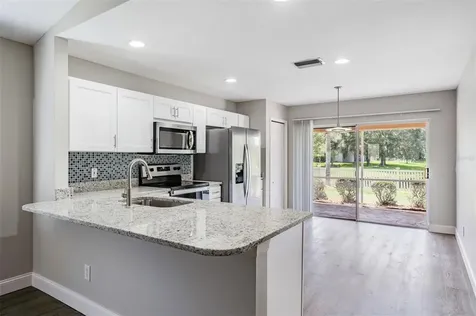 21022 Green Wing Court Land O Lakes FL 34637