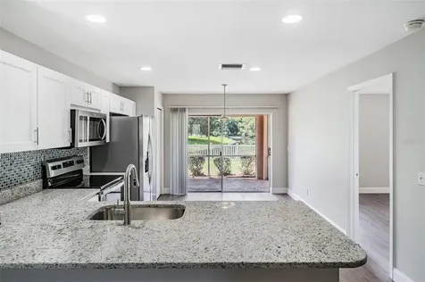 21022 Green Wing Court Land O Lakes FL 34637