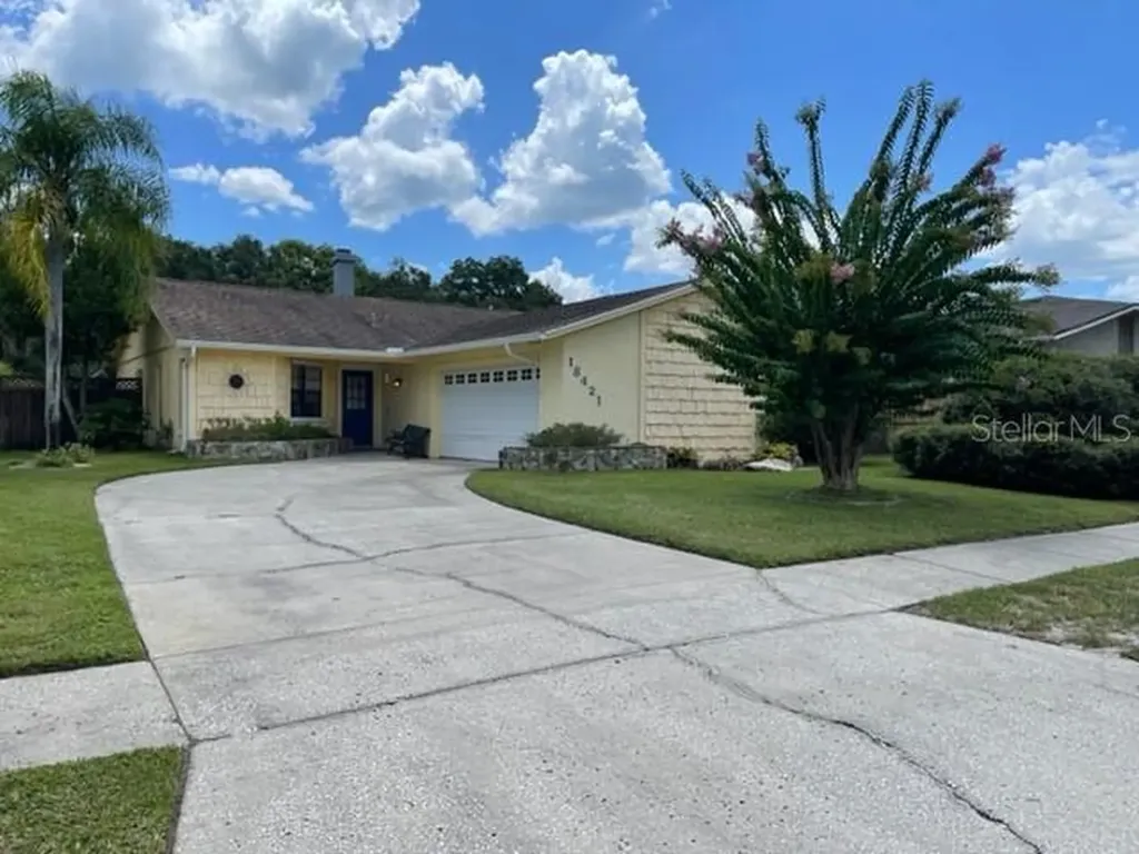 18421 Swan Lake Drive Lutz FL 33549