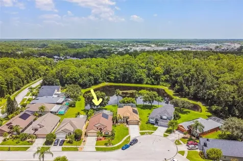 12550 Blazing Star Drive Tampa FL 33626