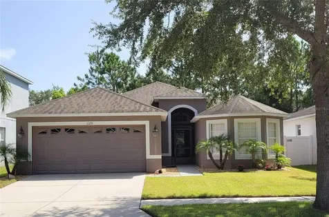 11231 Flora Springs Drive Riverview FL 33579