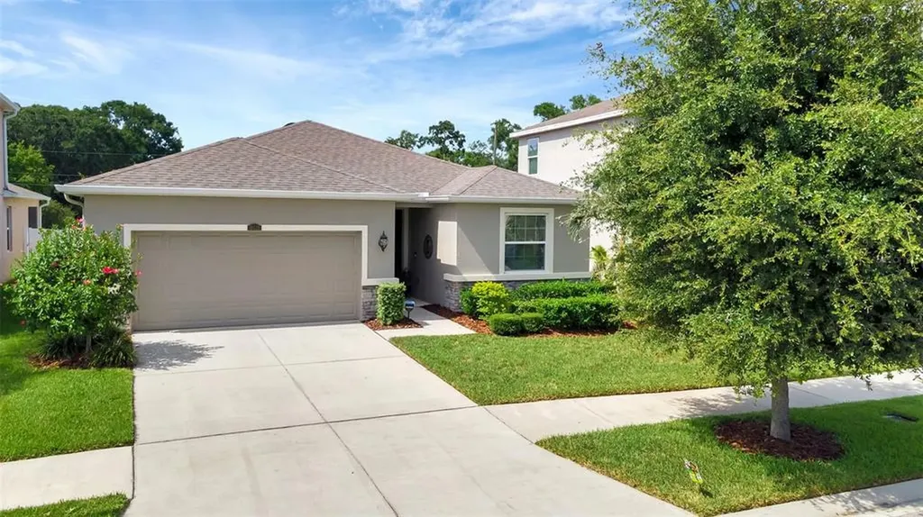 10520 Scenic Hollow Drive Riverview FL 33578