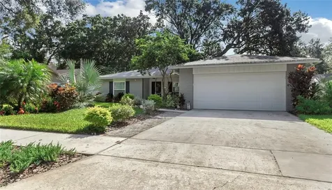 2312 Towery Trail Lutz FL 33549