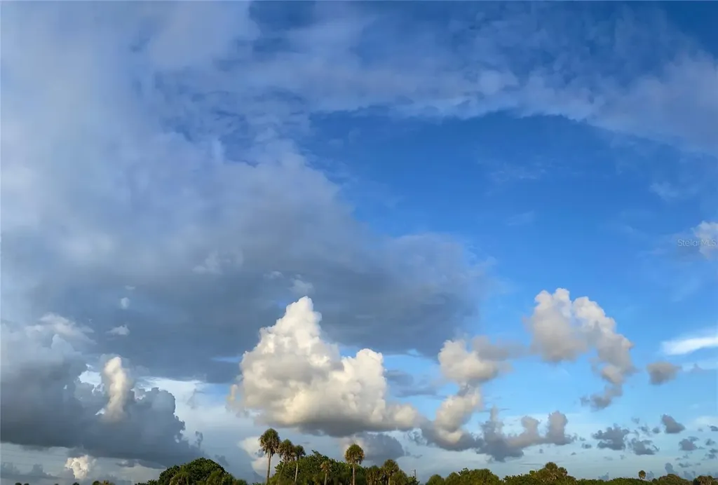 Saragossa Lane North Port FL 34287