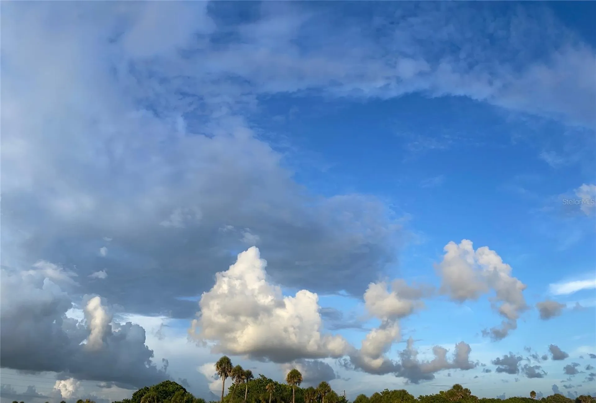 Saragossa Lane North Port FL 34287