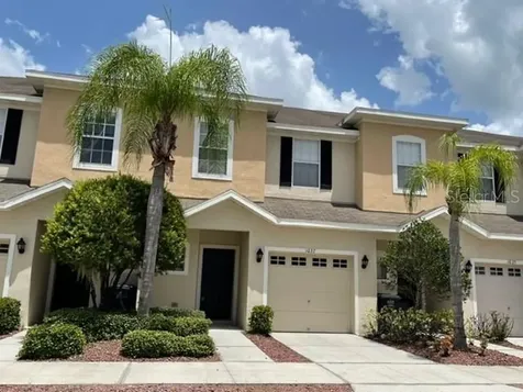 1037 Andrew Aviles Circle Tampa FL 33619