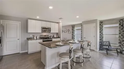 16858 Delia Street Wimauma FL 33598
