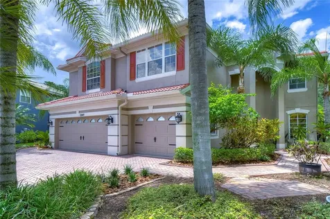 12807 Darby Ridge Drive Tampa FL 33624