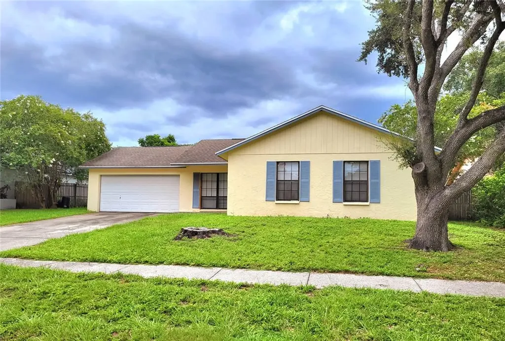 4107 Yellowwood Drive Valrico FL 33594