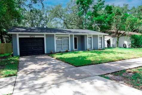 9723 Hidden Oaks Circle Tampa FL 33612
