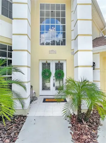 17725 Hampshire Oak Drive Tampa FL 33647