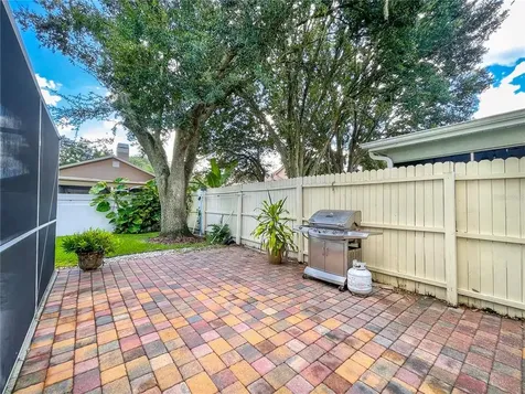 17725 Hampshire Oak Drive Tampa FL 33647