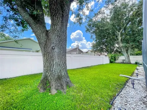 17725 Hampshire Oak Drive Tampa FL 33647