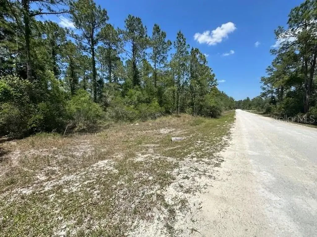 Tbd Otter Drive Webster FL 33597
