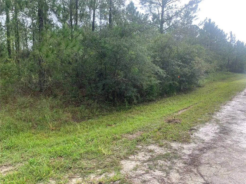 Tbd Otter Drive Webster FL 33597