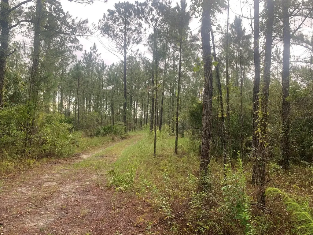 Tbd Otter Drive Webster FL 33597