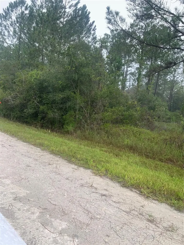 Tbd Otter Drive Webster FL 33597