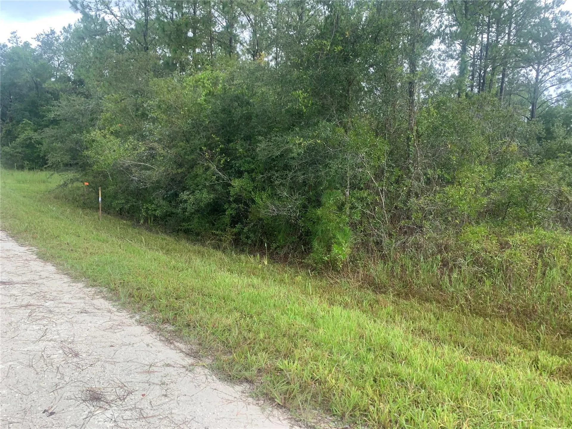 Tbd Otter Drive Webster FL 33597