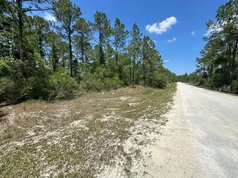 Tbd Otter Drive Webster FL 33597