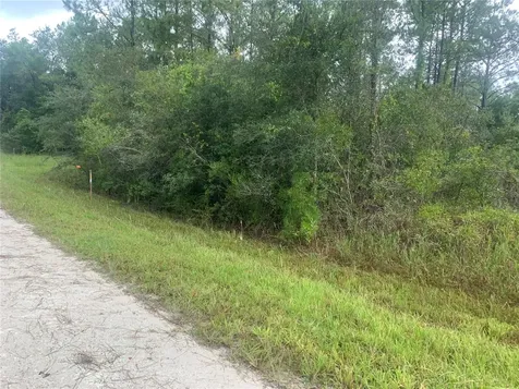 Tbd Otter Drive Webster FL 33597