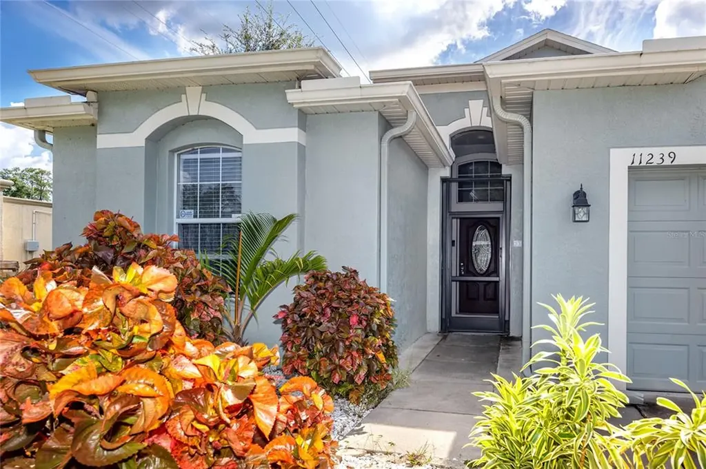 11239 Madison Park Drive Tampa FL 33625