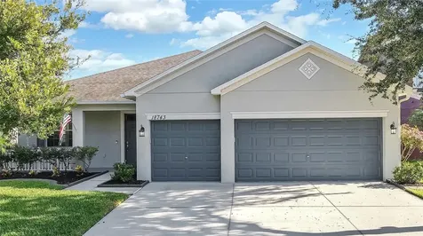 18743 Milton Keynes Court Land O Lakes FL 34638