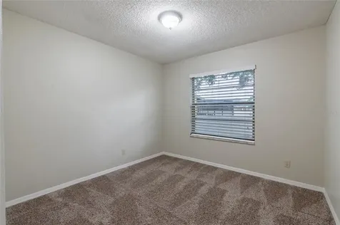 1115 Zachary Ridge Court Kissimmee FL 34747