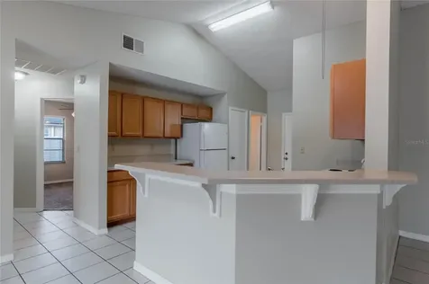 1115 Zachary Ridge Court Kissimmee FL 34747