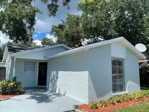 10205 Cutten Green Court Tampa FL 33615