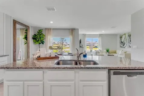 11314 Amber Ridge Drive Zellwood FL 32798